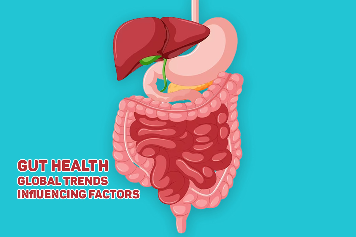 Gut Health: Global Trends and Influencing Factors